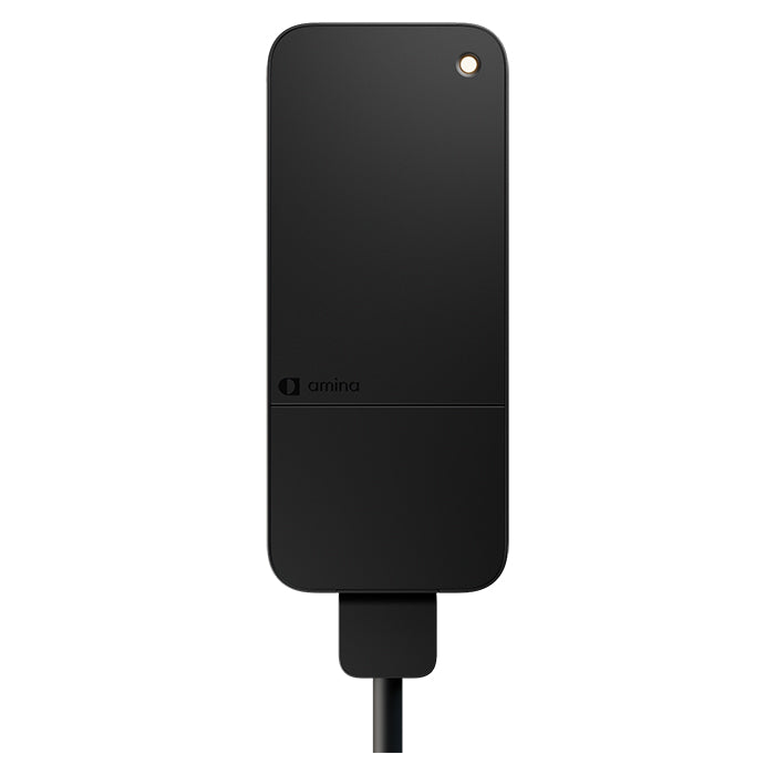 Amina S Ladeboks 11kW/20A 3-faset 6 Meter amina