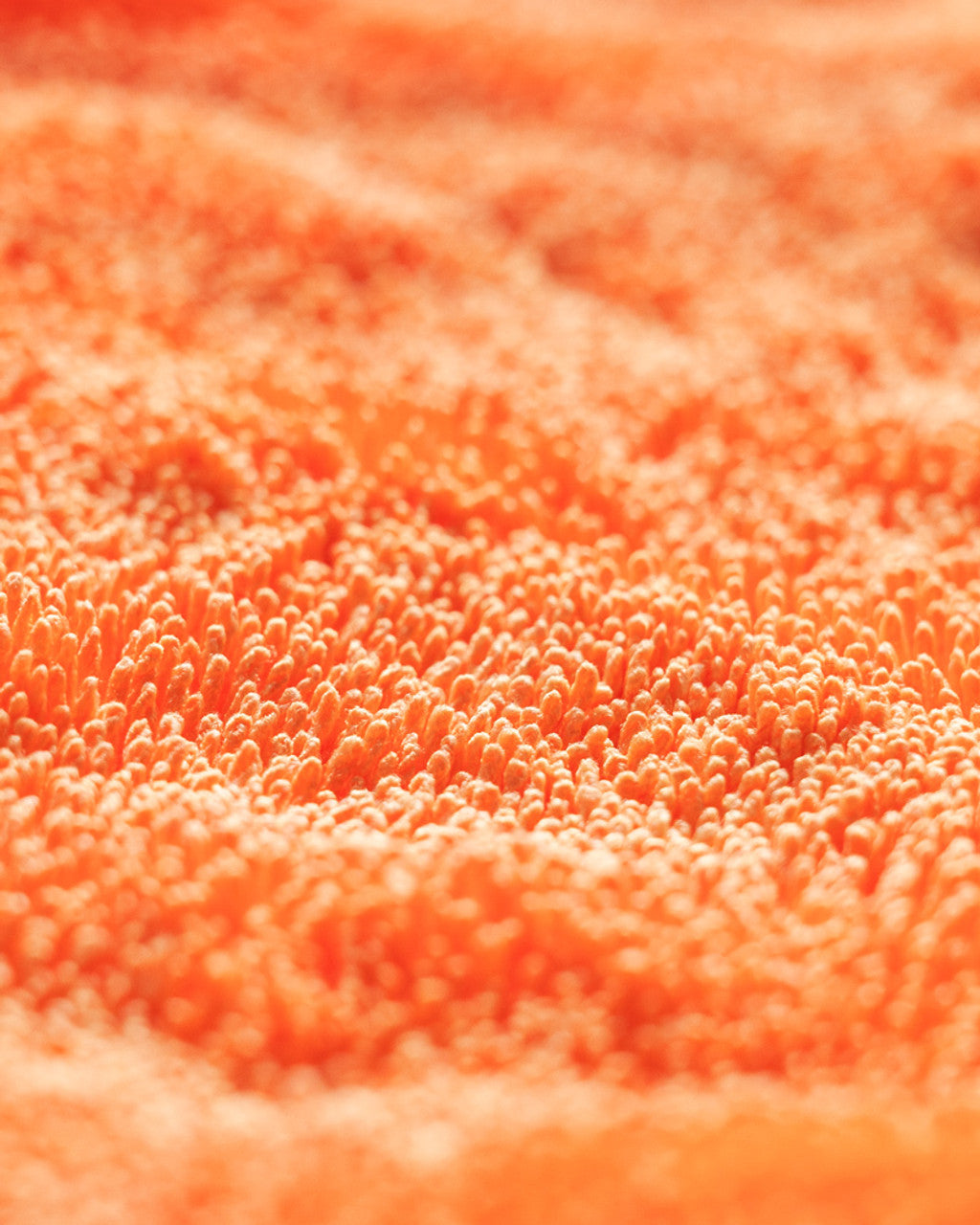 CarPro Dhydrate Bold - 60x90 cm CarPro