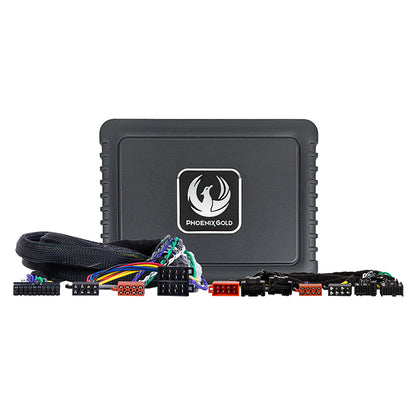 Phoenix Gold DSP Forstærker kit Chevrolet, SAAB 1995- Phoenix_g