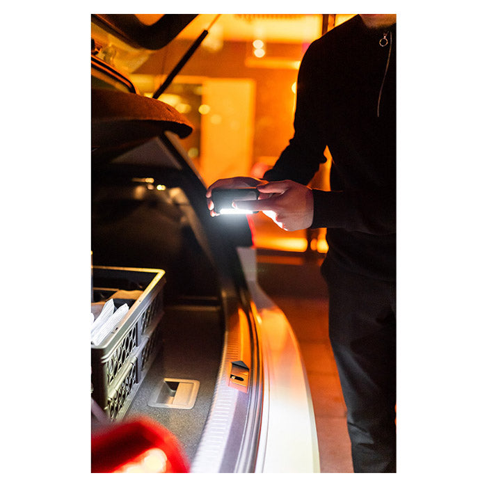 Osram LEDambient Trunk light osram