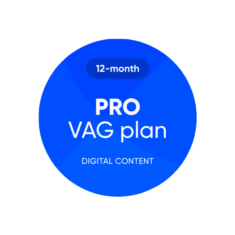 OBDeleven PRO VAG plan - 12 mdr. (Digitalt) - BilligStyling
