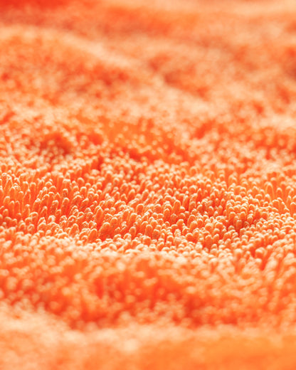 CarPro Dhydrate Bold - 60x90 cm CarPro